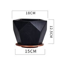 Maceta de cerámica para interior con clorofito, rábano verde y suculentas, transpirable.