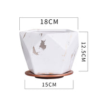 Maceta de cerámica para interior con clorofito, rábano verde y suculentas, transpirable.