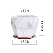 Maceta de cerámica para interior con clorofito, rábano verde y suculentas, transpirable.