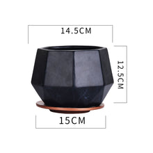 Maceta de cerámica para interior con clorofito, rábano verde y suculentas, transpirable.