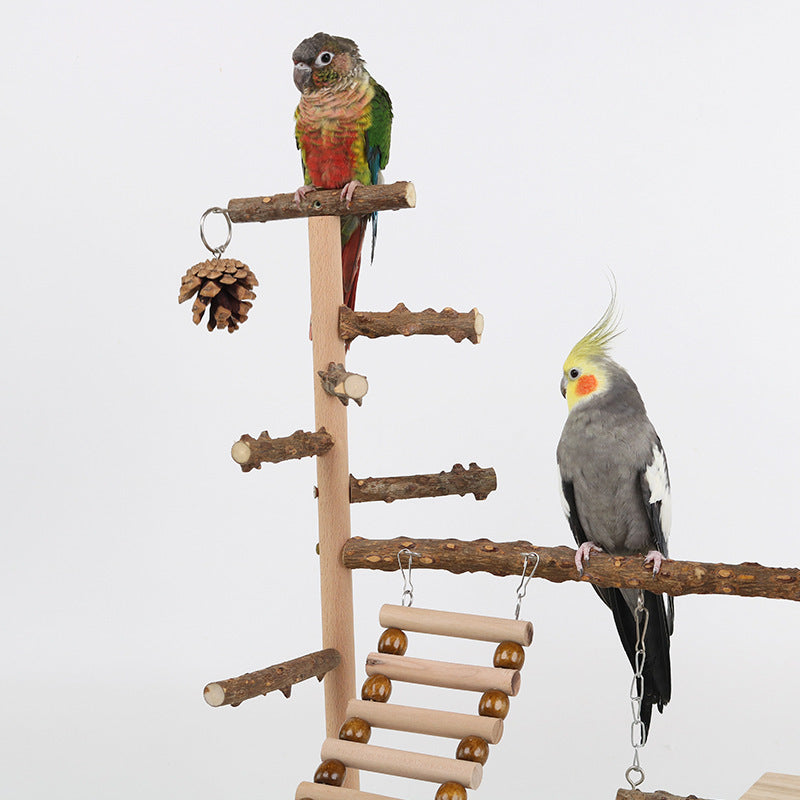 Sichuan Pepper Parrot Climbing Training Platform
