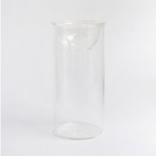 Maceta de escritorio para interiores, resistente a la sombra